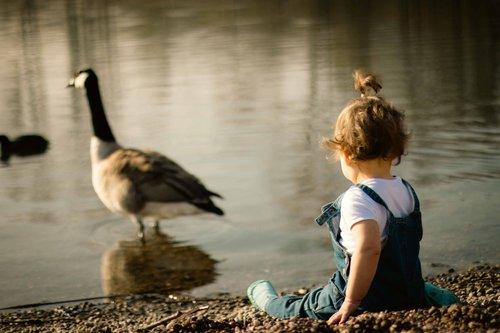 mobile - carousel-hero-element image-0